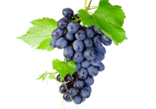 Black grapes