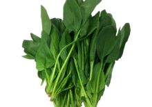 Green cabbage
