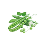 Peas
