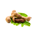 Tamarind Fruit