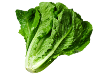Vegetable salad