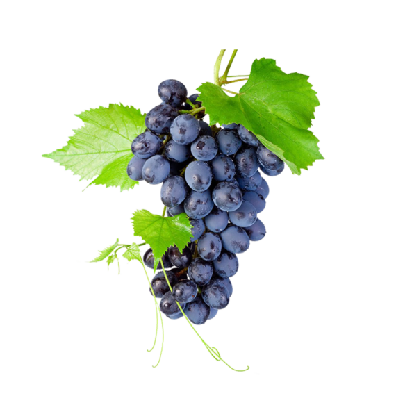 Black grapes