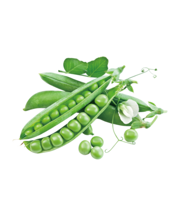 Peas