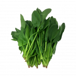 Green cabbage