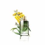 Life organic perfume
