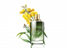 Life organic perfume