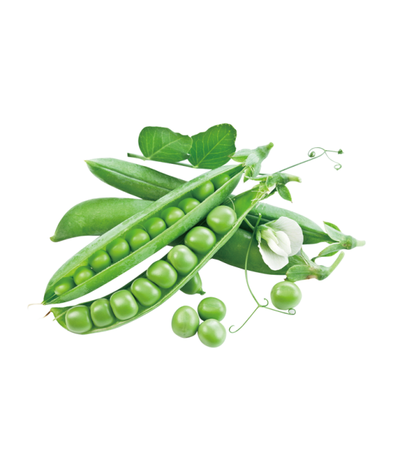 Peas