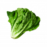 Vegetable salad