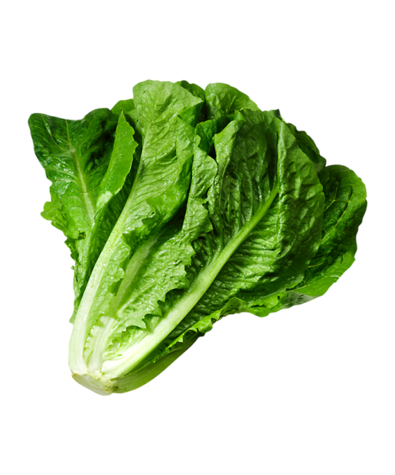 Vegetable salad